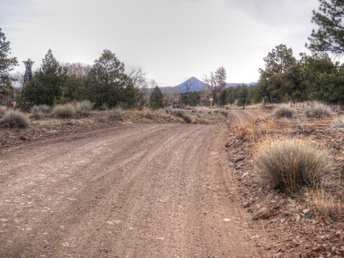 We're coming up on an old ranch homestead.